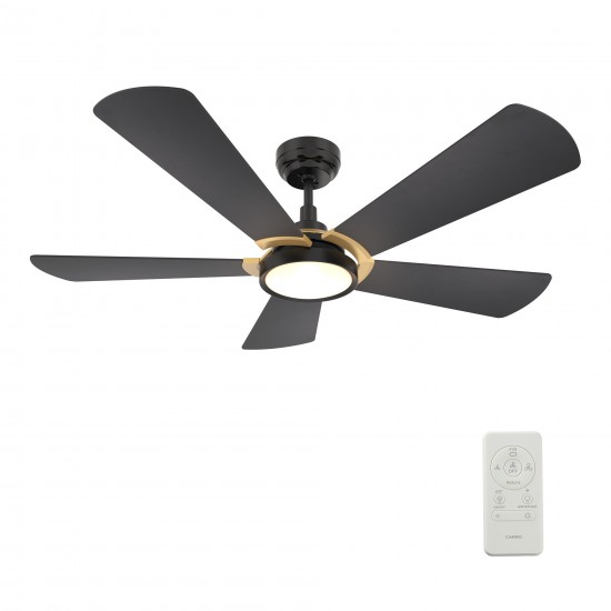 Winston 52 Inch 5-Blade Smart Ceiling Fan - Black/Black