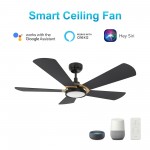 Winston 52 Inch 5-Blade Smart Ceiling Fan - Black/Black