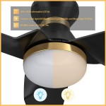 Kreis 52 Inch 3-Blade Smart Ceiling Fan - Black (Gold Detail)