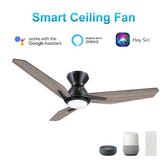 Calen 52 Inch 3-Blade Smart Ceiling Fan - Black