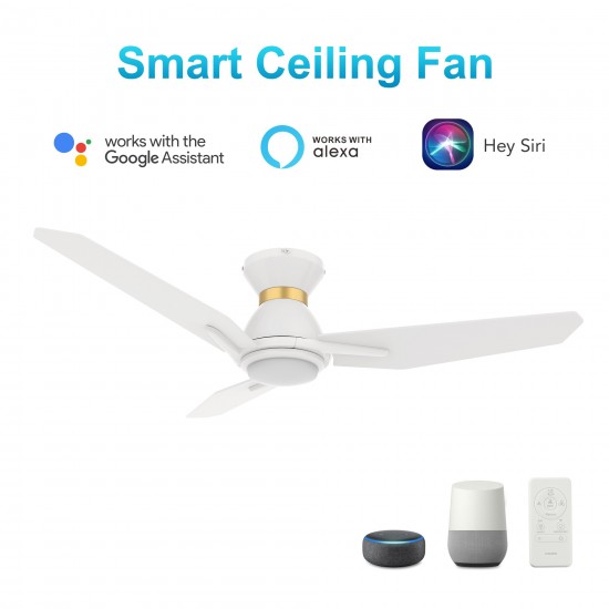 Calen 44 Inch 3-Blade Smart Ceiling Fan - White