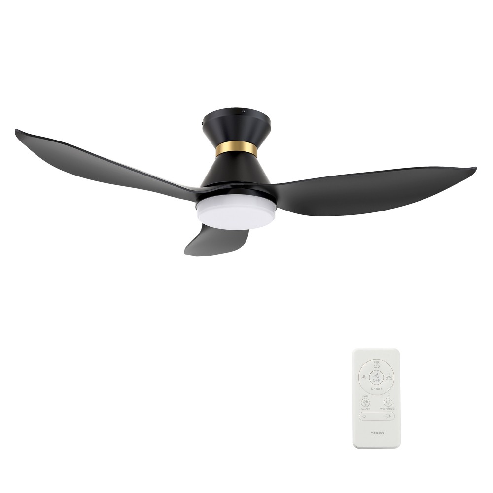 Ryatt 45 Inch 3-Blade Smart Ceiling Fan - Black