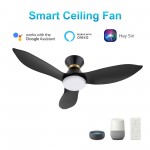 Ryatt 45 Inch 3-Blade Smart Ceiling Fan - Black