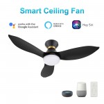 Ryatt 45 Inch 3-Blade Flush Mount Smart Ceiling Fan - Black