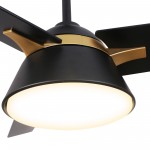 Kenora 48 Inch 3-Blade Ceiling Fan - Black/Black