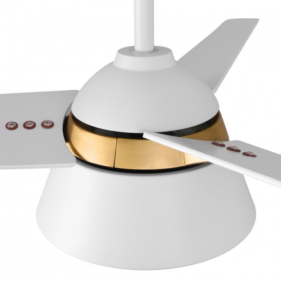 Kenora 48 Inch 3-Blade Ceiling Fan - White/White