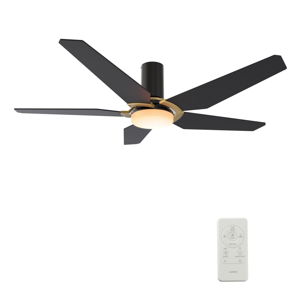 Woodrow 48 Inch 5-Blade Smart Ceiling Fan - Black