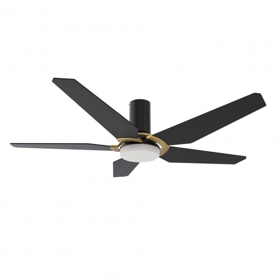 Woodrow 48 Inch 5-Blade Smart Ceiling Fan - Black