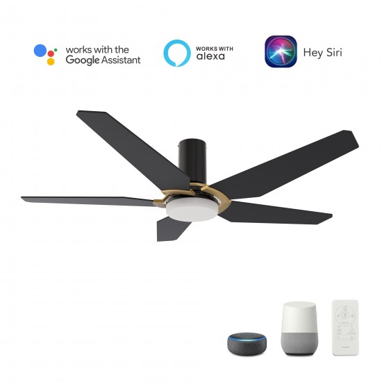 Woodrow 52 Inch 5-Blade Smart Ceiling Fan