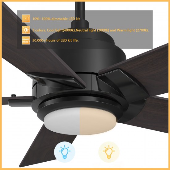 Ascender 48 Inch 5-Blade Smart Ceiling Fan - Black
