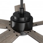 Ascender 48 Inch 5-Blade Smart Ceiling Fan - Black