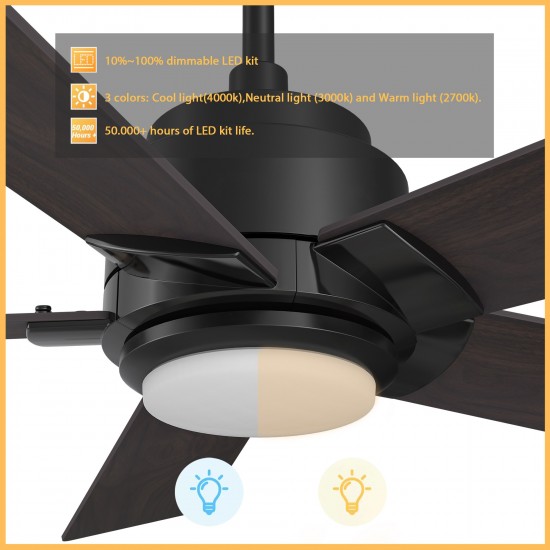 Ascender 56 Inch 5-Blade Smart Ceiling Fan - Black