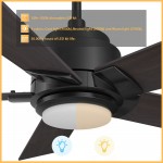 Ascender 60 Inch 5-Blade Smart Ceiling Fan - Black