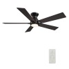 Ascender 48 Inch 5-Blade Flush Mount Smart Ceiling Fan - Black