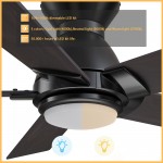 Ascender 48 Inch 5-Blade Flush Mount Smart Ceiling Fan - Black