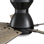 Ascender 48 Inch 5-Blade Flush Mount Smart Ceiling Fan - Black