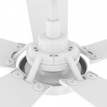 Winston 52 Inch 5-Blade Smart Ceiling Fan - White