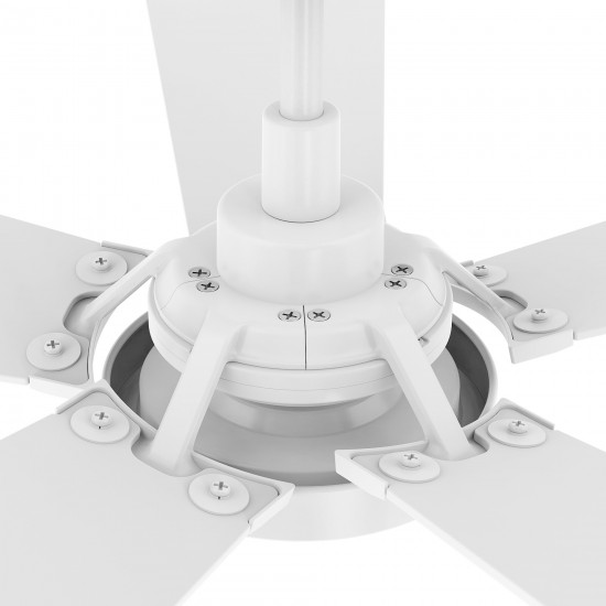 Winston 52 Inch 5-Blade Smart Ceiling Fan - White