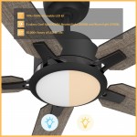 Espear 60 Inch 5-Blade Smart Ceiling Fan - Black