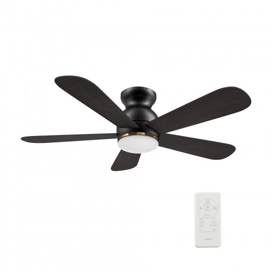 Dubois 48 Inch 5-Blade Smart Ceiling Fan - Black