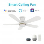 Dubois 48 Inch 5-Blade Smart Ceiling Fan - White