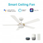 Tarrasa 52 Inch 5-Blade Smart Ceiling Fan - White