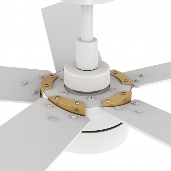 Tarrasa 52 Inch 5-Blade Smart Ceiling Fan - White