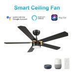 Tarrasa 52 Inch 5-Blade Smart Ceiling Fan - Black