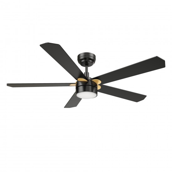 Tarrasa 52 Inch 5-Blade Smart Ceiling Fan - Black