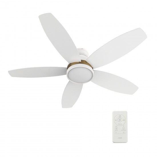 Granville 48 Inch 5-Blade Smart Ceiling Fan - Black