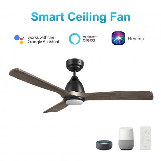 Riley 48 Inch 3-Blade Smart Ceiling Fan - Black