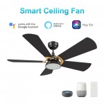 Savili 52 Inch 5-Blade Smart Ceiling Fan - Black