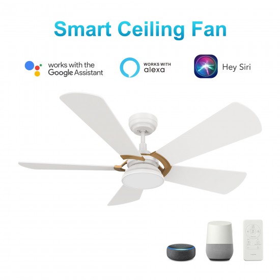 Savili 52 Inch 5-Blade Smart Ceiling Fan - White