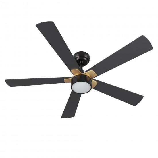 Stockton 52 Inch 5-Blade Smart Ceiling Fan - Black