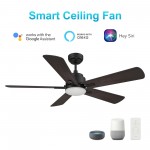 Olinda 52 Inch 5-Blade Smart Ceiling Fan - Black