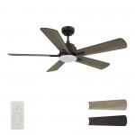 Olinda 52 Inch 5-Blade Smart Ceiling Fan - Black