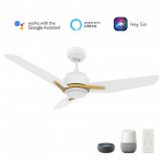 Tracer 48 Inch 3-Blade Smart Ceiling Fan - White (Gold Detail)