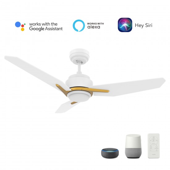 Tracer 52 Inch 3-Blade Smart Ceiling Fan - White (Gold Detail)