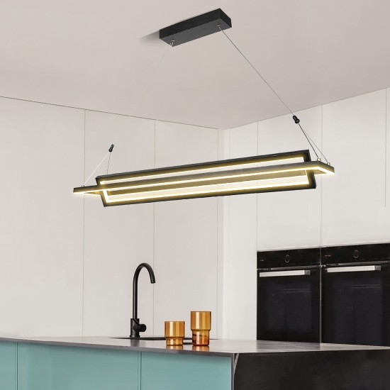 Rectangular 2-Light Adjustable Direction Led Pendant Light - Matte Black