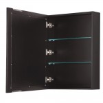 Daria 36" Dark Espresso Single Vanity, No Top, Black Trim, Medicine Cabinet