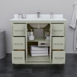 Icon 42" Single Vanity in Light Green, No Top, No Sink, Brushed Nickel Trim