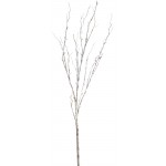 Birch Branch (Setof 12) 42"L Plastic