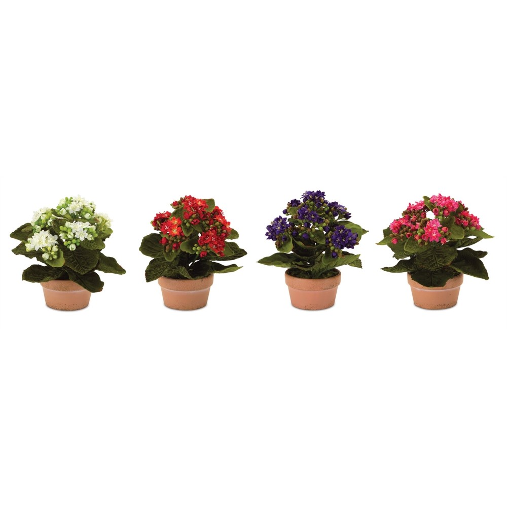 Kalanchoe W/Pot (Set Of 4) 7"H Polyester