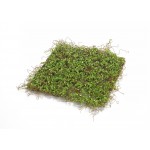 Moss Mat (Setof 12) 12"Sq Polyester/Plastic