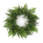 Fern Wreath 24"D Plastic