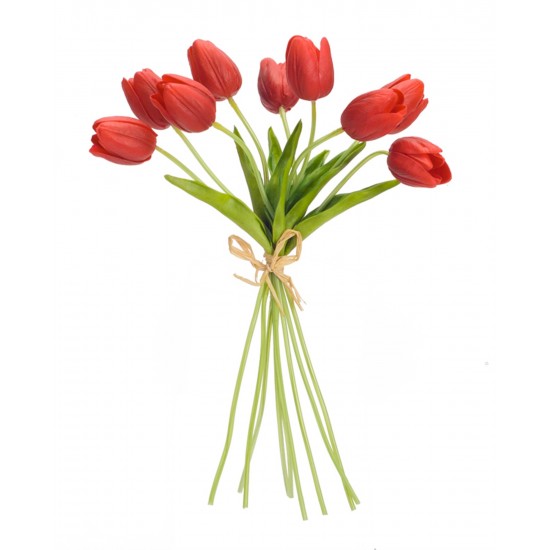 Tulip Bundle (Set Of 6) 15"H, Red
