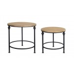 Table (Set Of 2) 17"H, 21"H Metal/Wood 18"X18X"17,22"X22"X21"