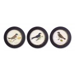 Framed Bird Print (Set Of 3) 9.5"D Mdf