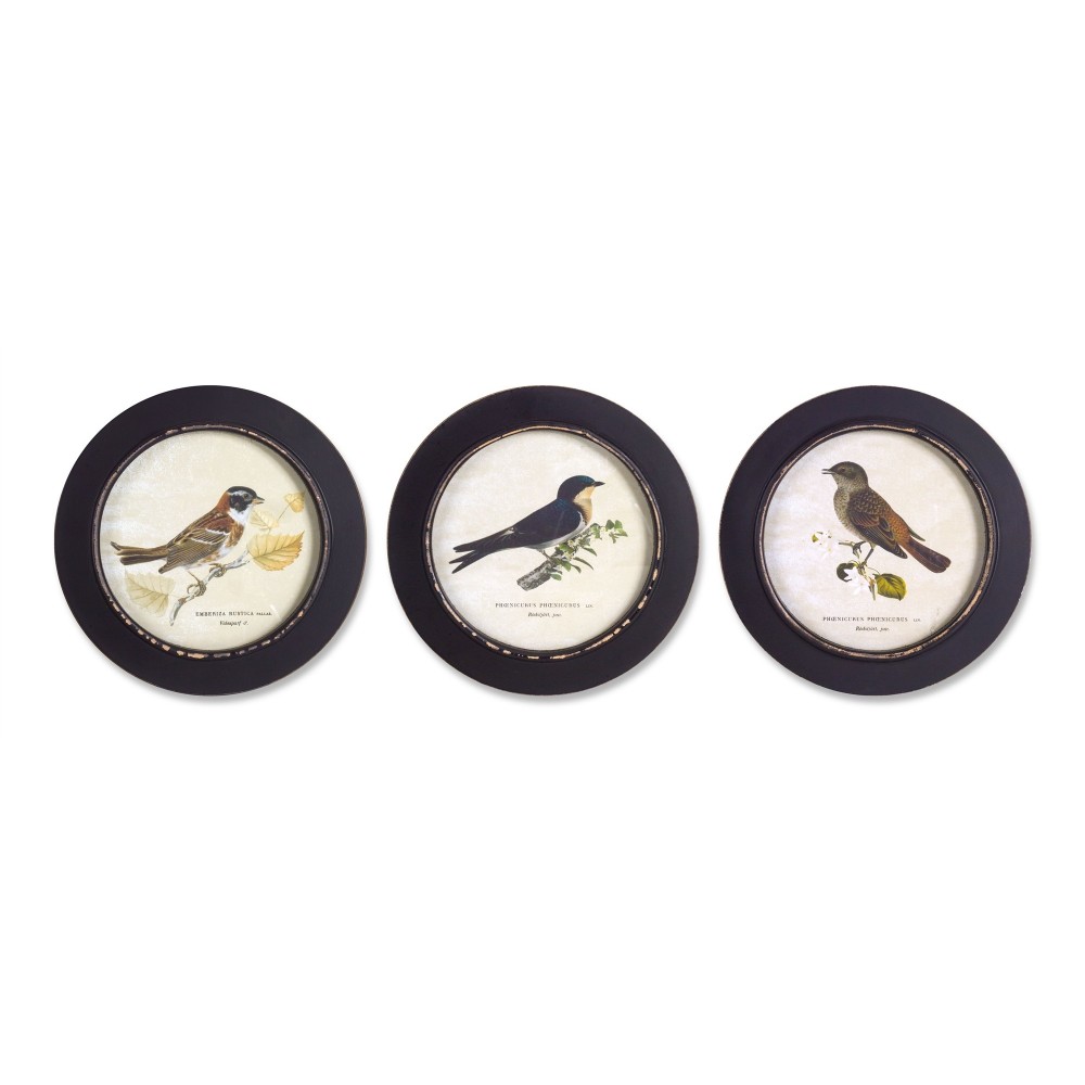 Framed Bird Print (Set Of 3) 9.5"D Mdf Framed Bird Print (Set Of 3) 9.5"D Mdf
