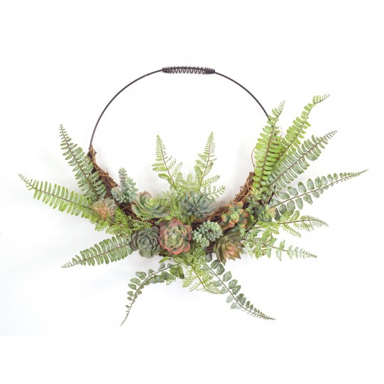 Fern And Succulent Wall Decor 24.5" x 19.25"H Plastic/Wire